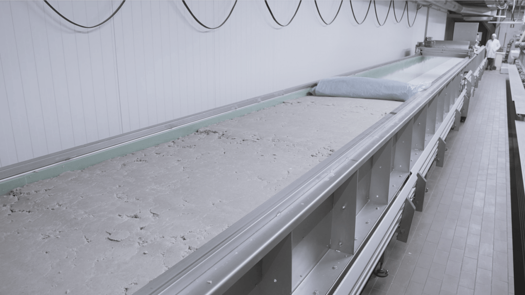 transportband deeg bulk